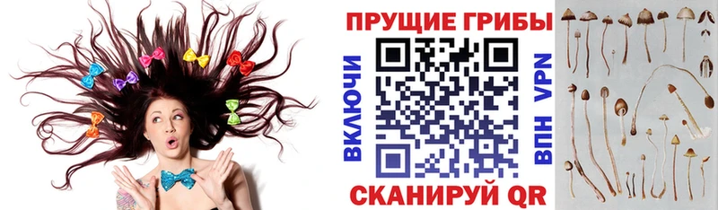 Псилоцибиновые грибы мухоморы Химки